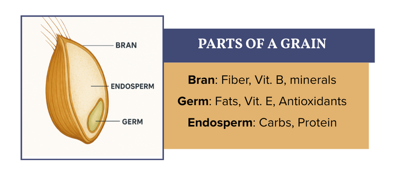 The Facts - Nutrient Dense Fresh-Milled Flour